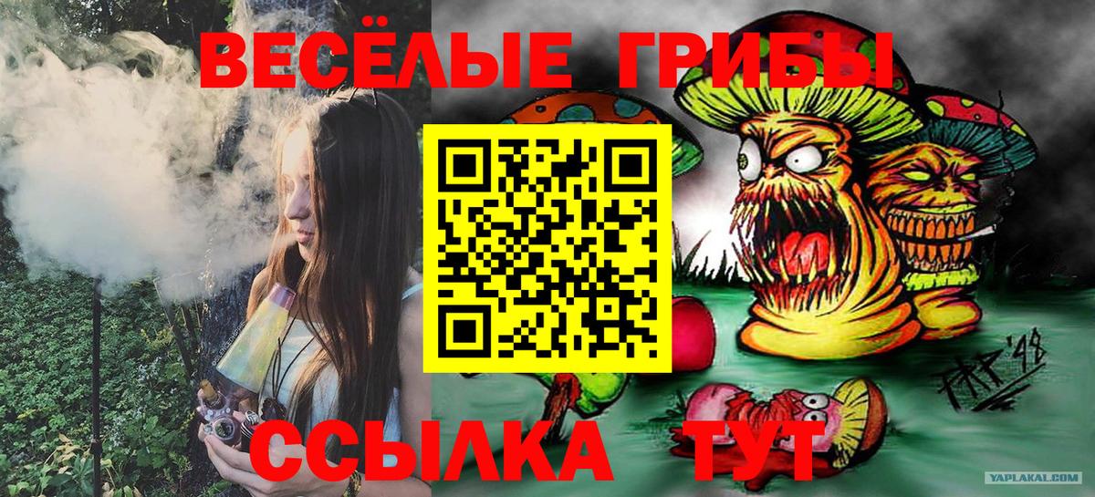 Псилоцибиновые грибы Cubensis Мценск