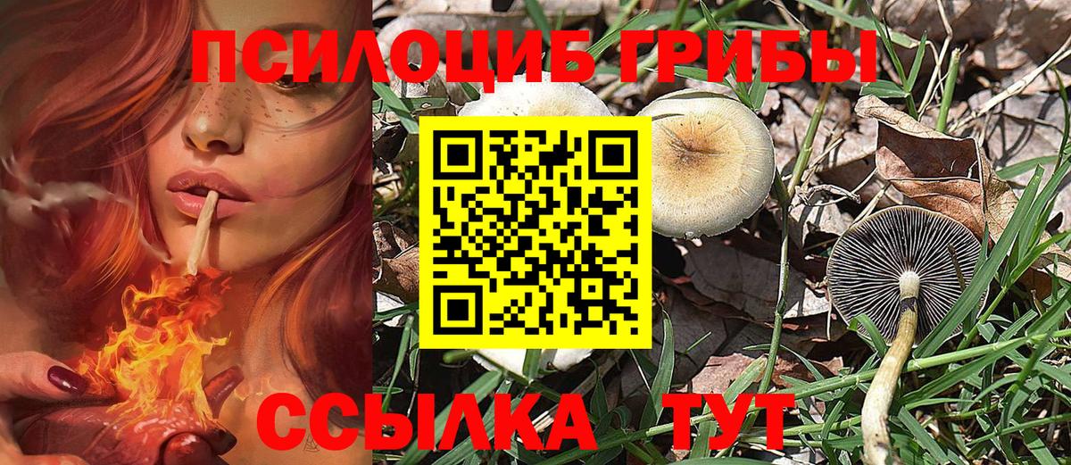 Галлюциногенные грибы Psilocybe  Вход с VPN  Мценск  Галлюциногенные грибы MAGIC MUSHROOMS 